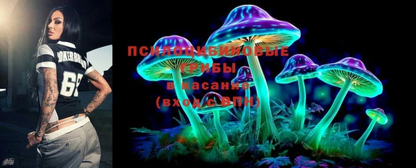 мяу мяу мука Арсеньев
